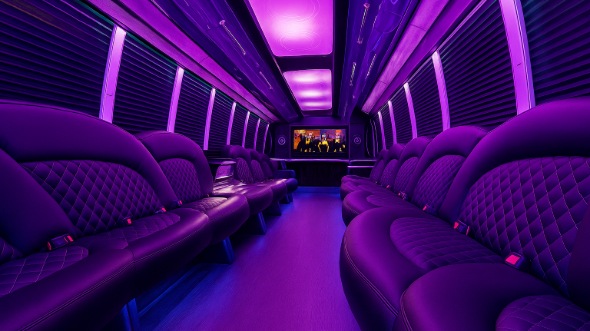 chicopee party bus rental rental