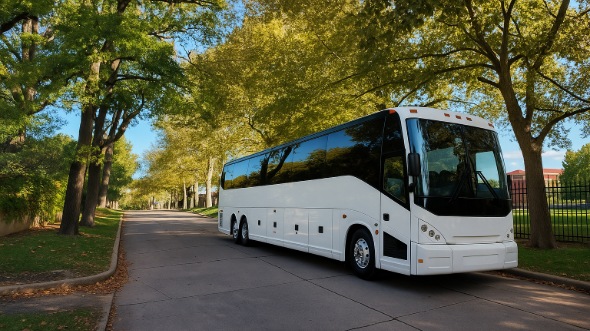chicopee vacation bus rentals for family trips